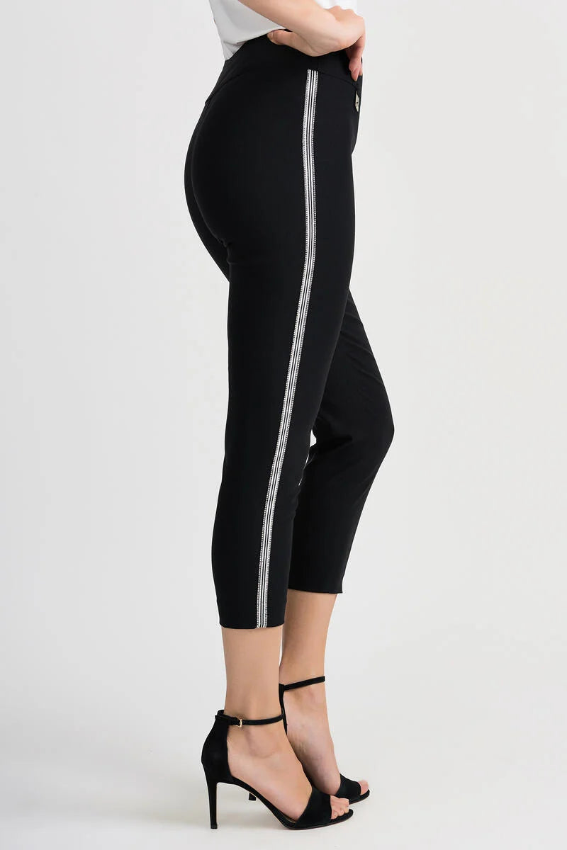 JOSEPH RIBKOFF, 201047