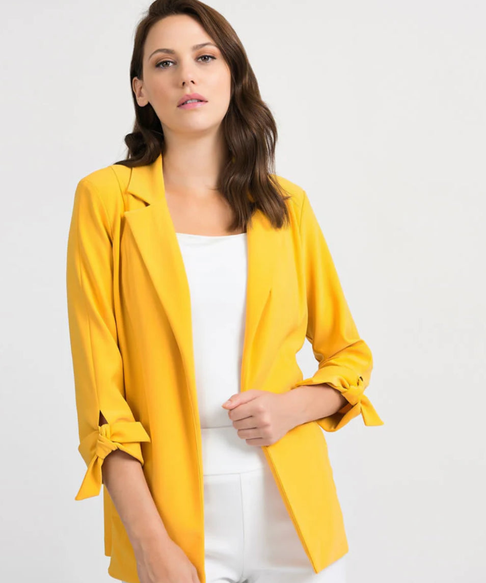 JOSEPH RIBKOFF 201306