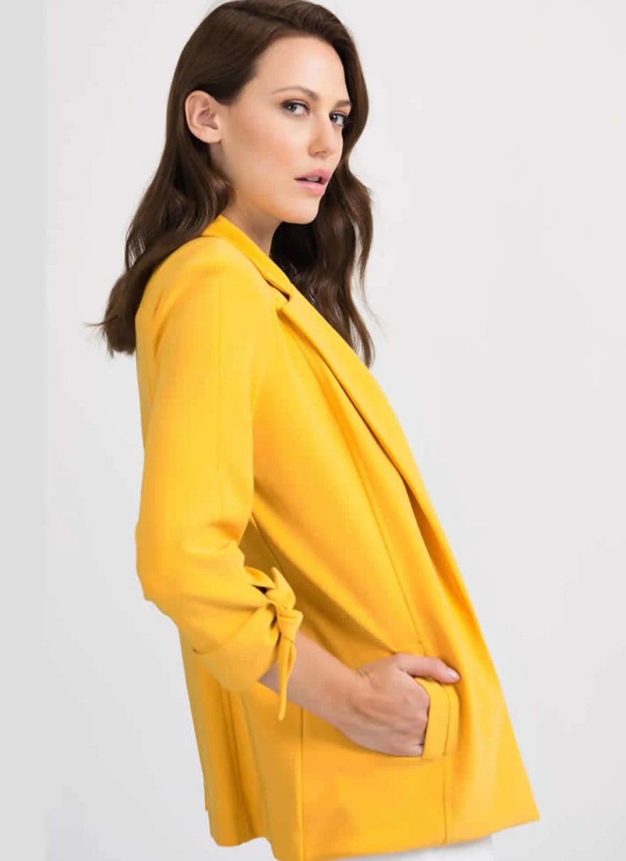 JOSEPH RIBKOFF 201306