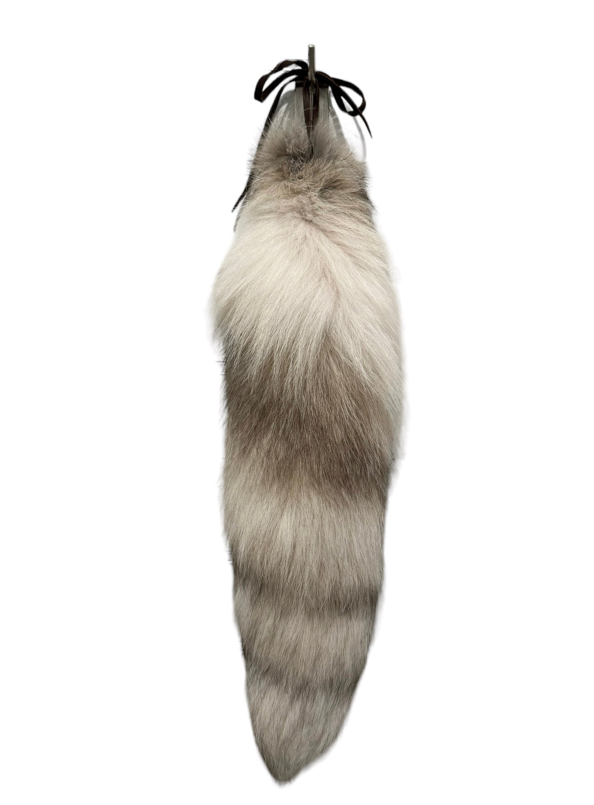 RW-Foxtail