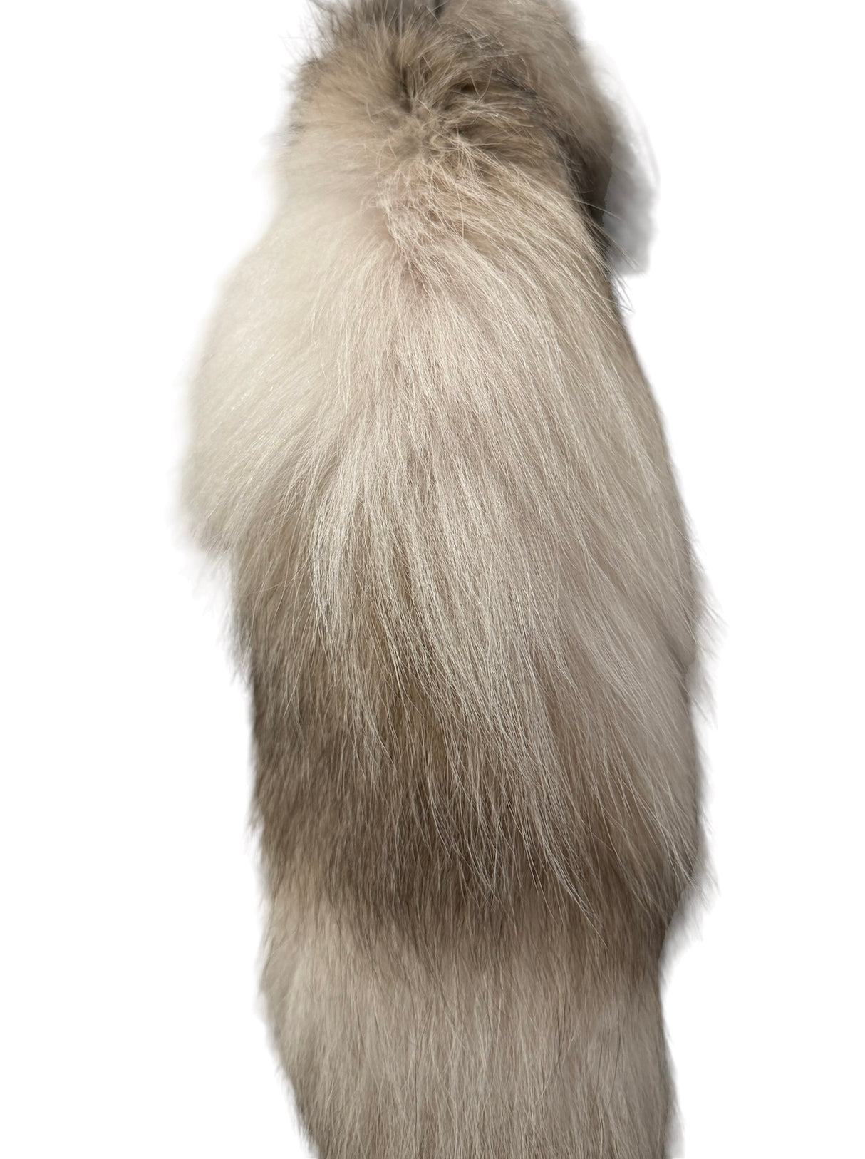 RW-Foxtail