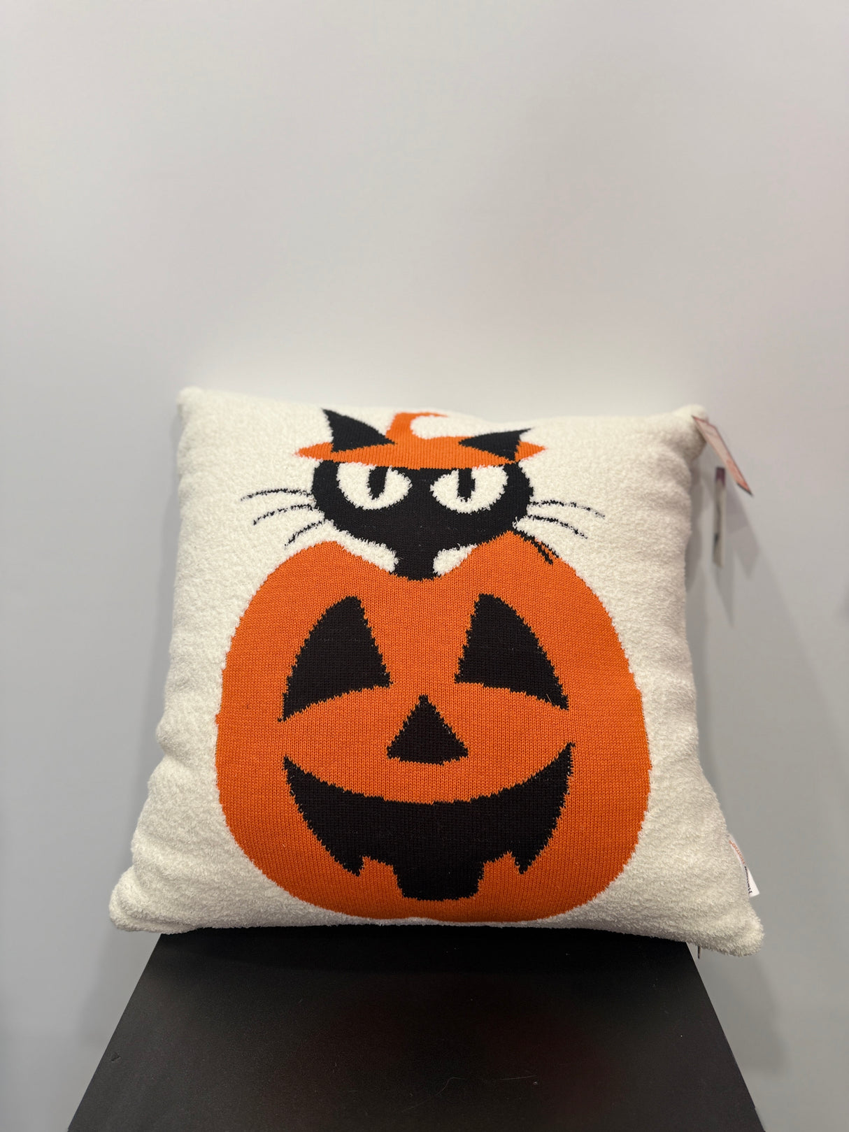 Black Cat & Jack-O’-Lantern Halloween Throw Pillow 025037