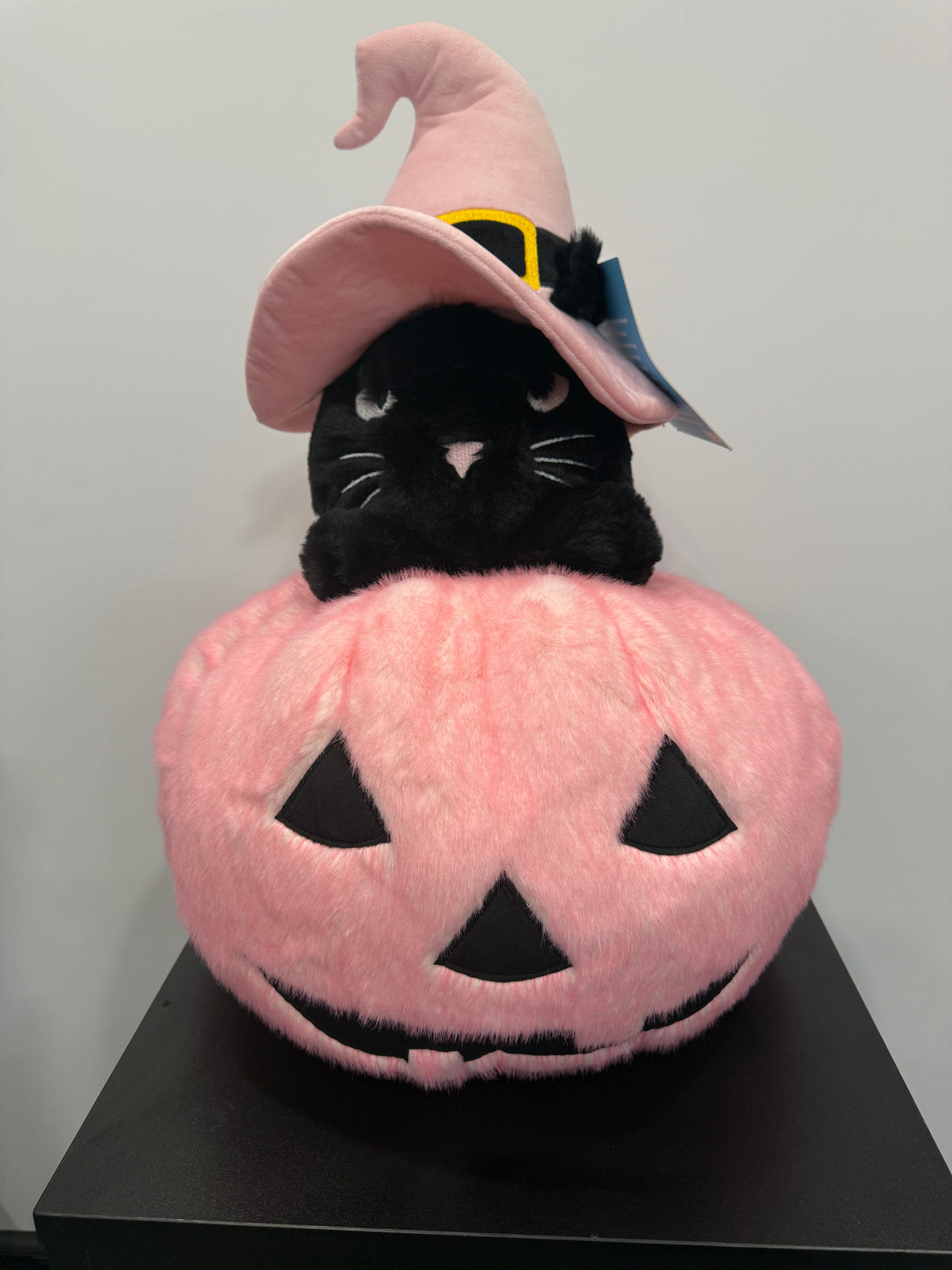 Pink Jack-O’-Lantern Plush with Black Cat Witch 026309