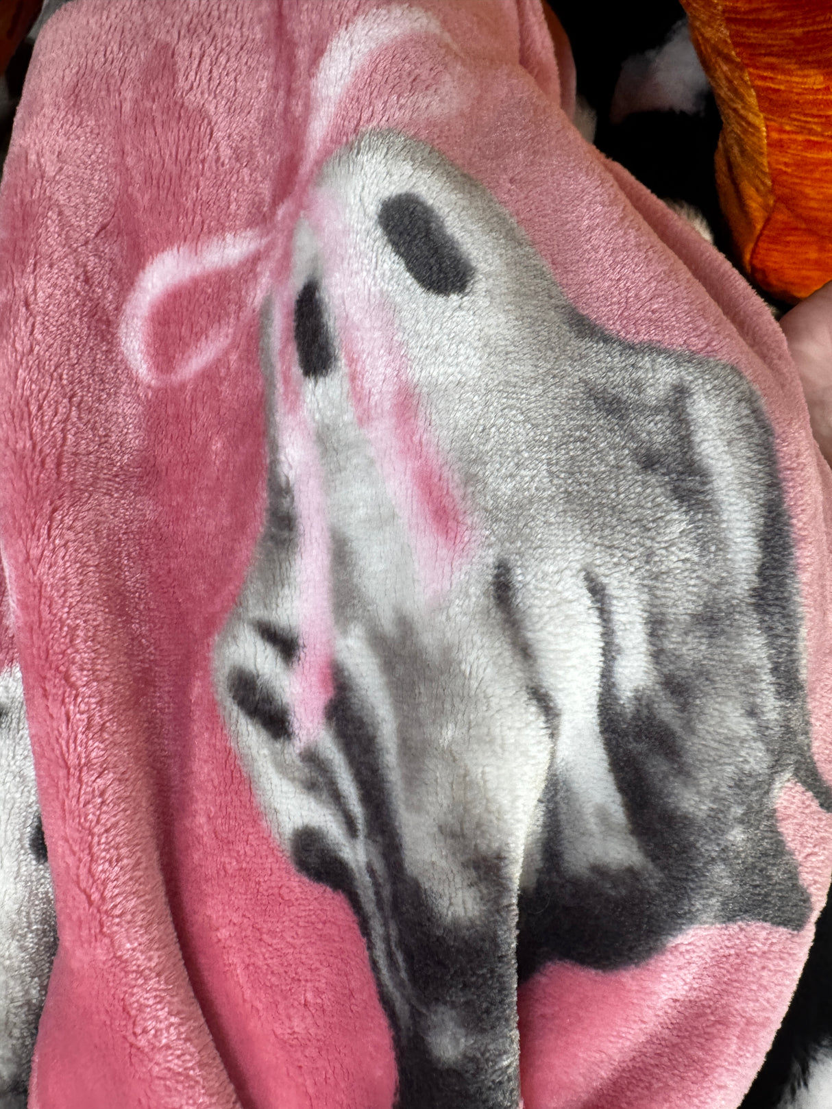 Pink Ghost Faux Fur Throw Blanket – 50" x 70"