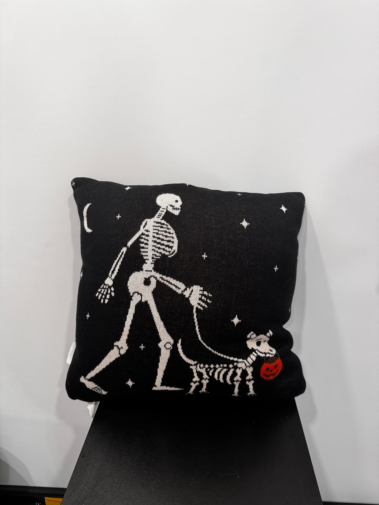 Skeleton with Dog Halloween Pillow – Trick-or-Treat